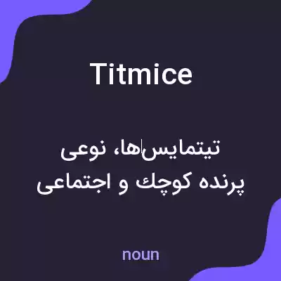 معنی titmice به فارسی معنی titmice به فارسی