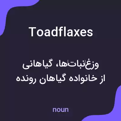 معنی toadflaxes به فارسی معنی toadflaxes به فارسی