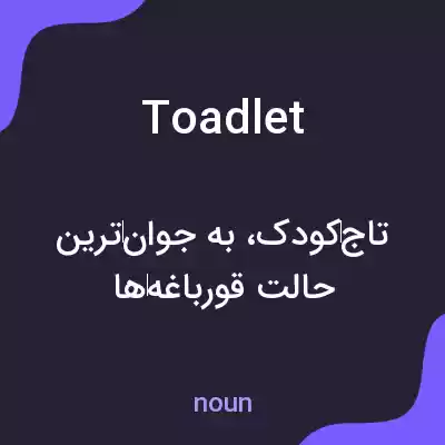معنی toadlet به فارسی معنی toadlet به فارسی