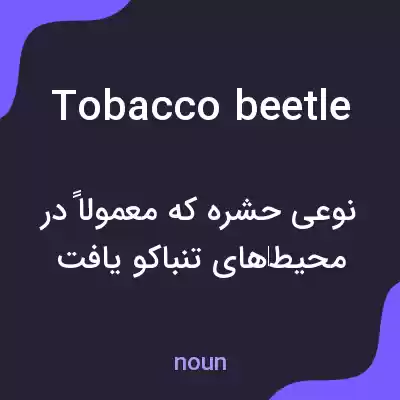 معنی tobacco beetle به فارسی