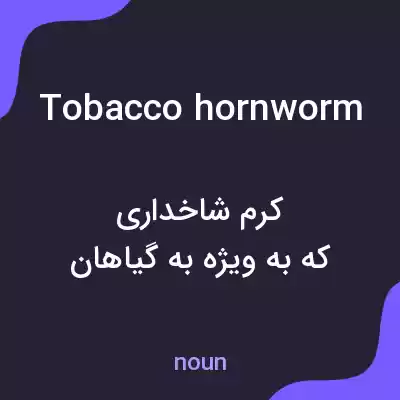 معنی tobacco hornworm به فارسی معنی tobacco hornworm به فارسی