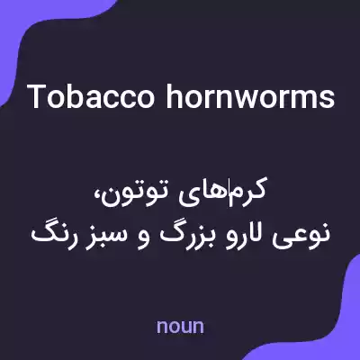 معنی tobacco hornworms به فارسی معنی tobacco hornworms به فارسی