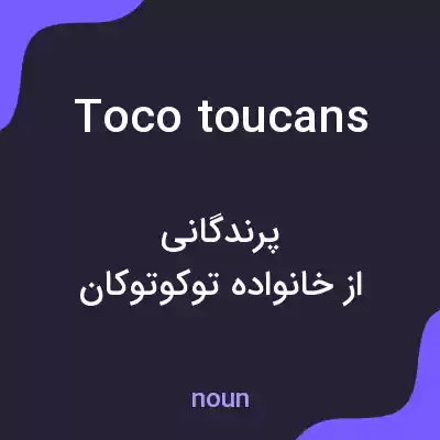 معنی toco toucans به فارسی