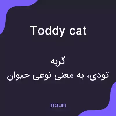 معنی toddy cat به فارسی معنی toddy cat به فارسی