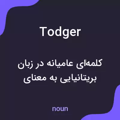 معنی todger به فارسی معنی todger به فارسی