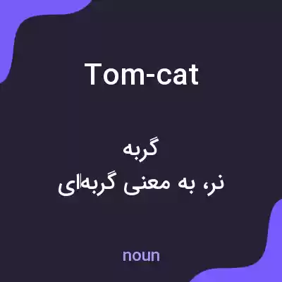 معنی tom-cat به فارسی معنی tom-cat به فارسی