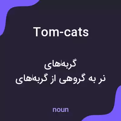معنی tom-cats به فارسی معنی tom-cats به فارسی