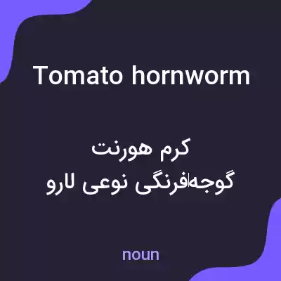 معنی tomato hornworm به فارسی معنی tomato hornworm به فارسی