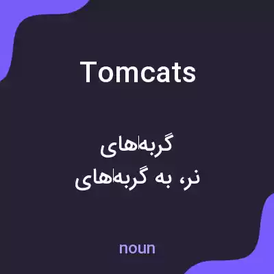 معنی tomcats به فارسی معنی tomcats به فارسی