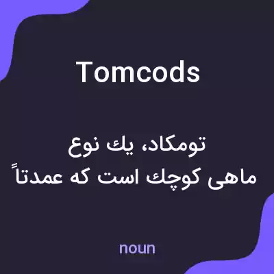 معنی tom cods به فارسی معنی tom cods به فارسی