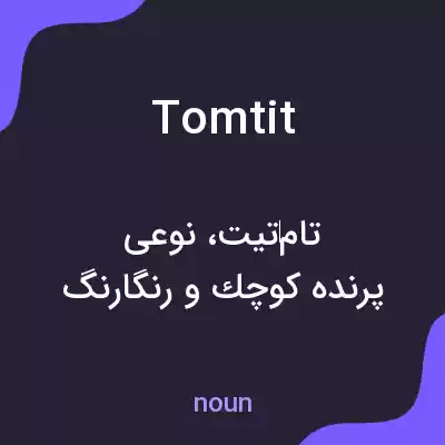 معنی tomtit به فارسی معنی tomtit به فارسی