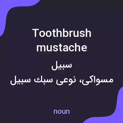 معنی toothbrush mustache به فارسی معنی toothbrush mustache به فارسی