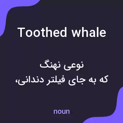 معنی toothed whale به فارسی معنی toothed whale به فارسی