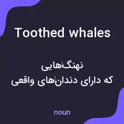 معنی toothed whales به فارسی معنی toothed whales به فارسی