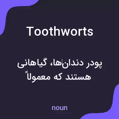 معنی toothworts به فارسی
