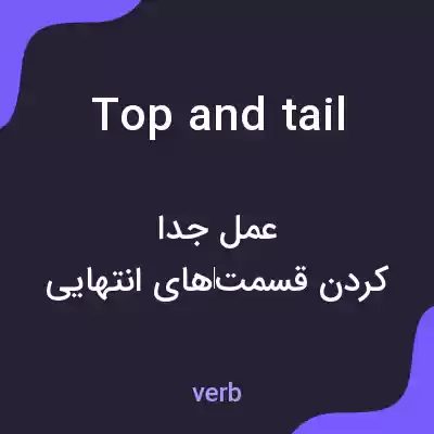 معنی top and tail به فارسی معنی top and tail به فارسی