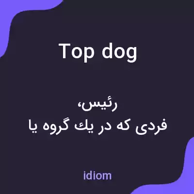 معنی top dog به فارسی معنی top dog به فارسی