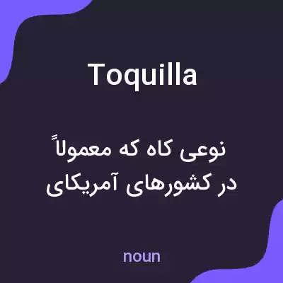 معنی toquilla به فارسی