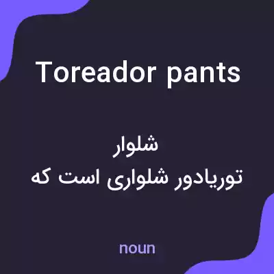 معنی toreador pants به فارسی معنی toreador pants به فارسی