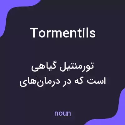معنی tormentils به فارسی معنی tormentils به فارسی