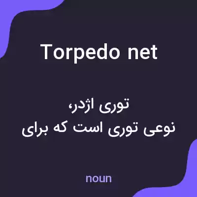 معنی torpedo net به فارسی معنی torpedo net به فارسی