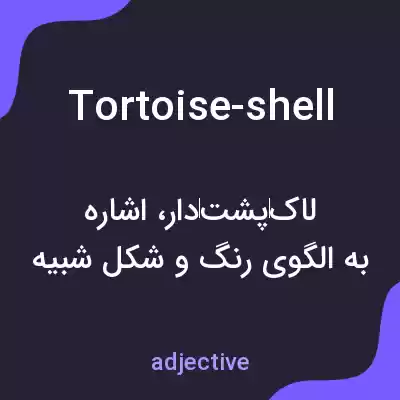 معنی tortoise-shell به فارسی معنی tortoise-shell به فارسی