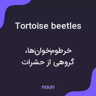 معنی tortoise beetles به فارسی معنی tortoise beetles به فارسی