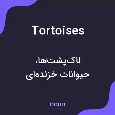 معنی tortoises به فارسی معنی tortoises به فارسی