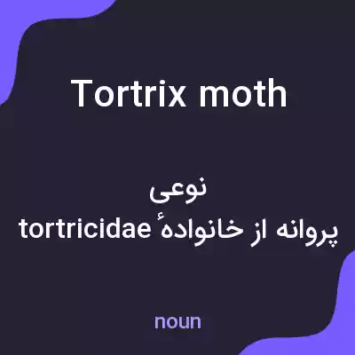 معنی tortrix moth به فارسی معنی tortrix moth به فارسی