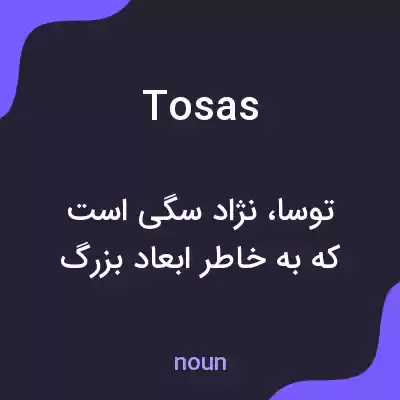 معنی tosas به فارسی معنی tosas به فارسی