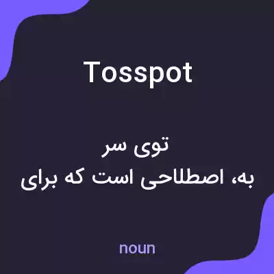 معنی tosspot به فارسی