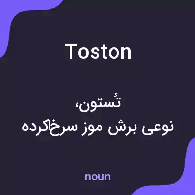 معنی toston به فارسی