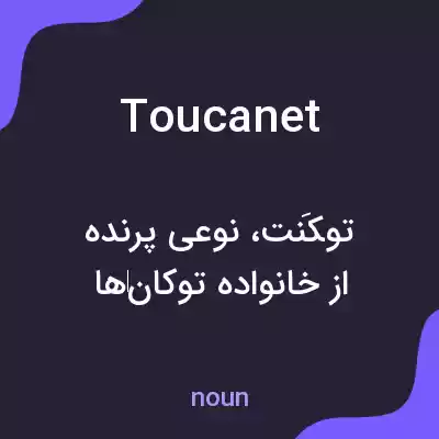 معنی toucanet به فارسی معنی toucanet به فارسی