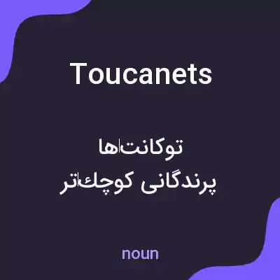 معنی toucanets به فارسی