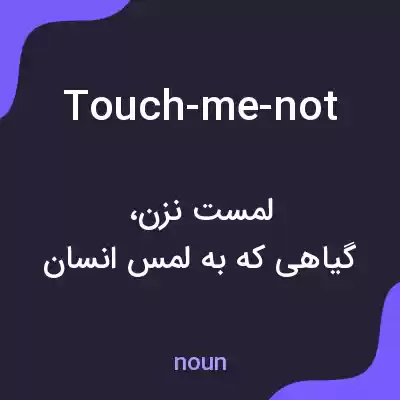 معنی touch-me-not به فارسی معنی touch-me-not به فارسی