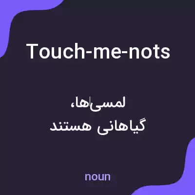 معنی touch-me-nots به فارسی معنی touch-me-nots به فارسی