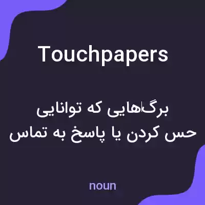 معنی touchpapers به فارسی معنی touchpapers به فارسی