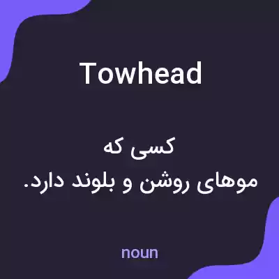معنی towhead به فارسی معنی towhead به فارسی