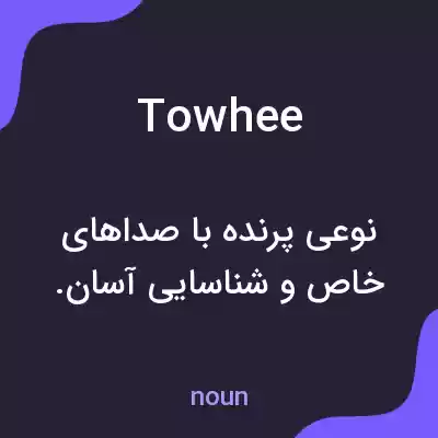 معنی towhee به فارسی معنی towhee به فارسی
