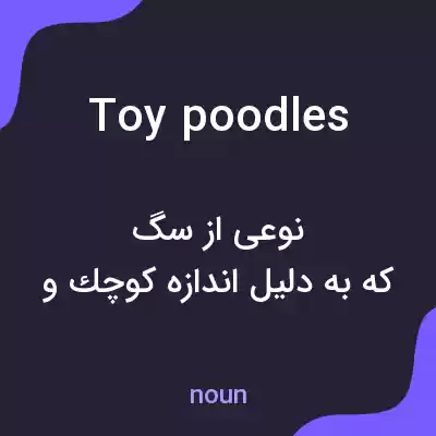 معنی toy poodles به فارسی معنی toy poodles به فارسی