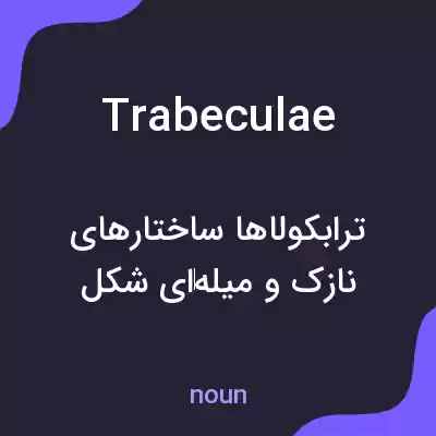 معنی trabeculae به فارسی