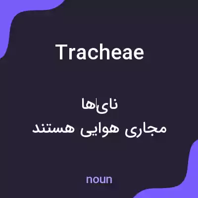 معنی tracheae به فارسی معنی tracheae به فارسی