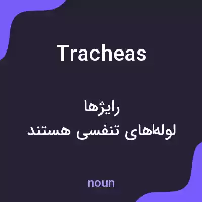 معنی tracheas به فارسی معنی tracheas به فارسی