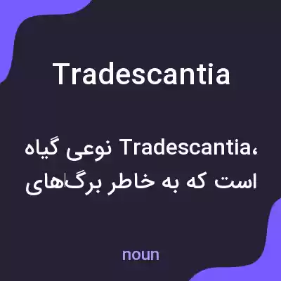 معنی tradescantia به فارسی معنی tradescantia به فارسی