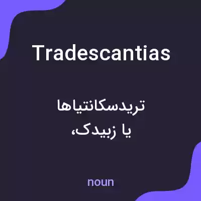 معنی tradescantias به فارسی معنی tradescantias به فارسی