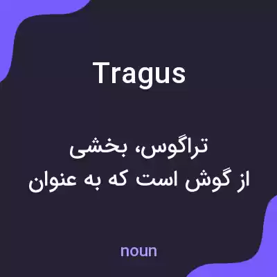معنی tragus به فارسی معنی tragus به فارسی