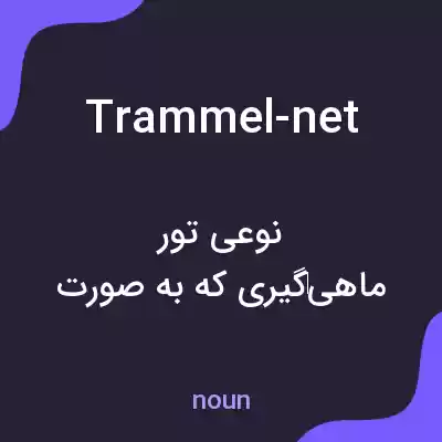 معنی trammel-net به فارسی معنی trammel-net به فارسی