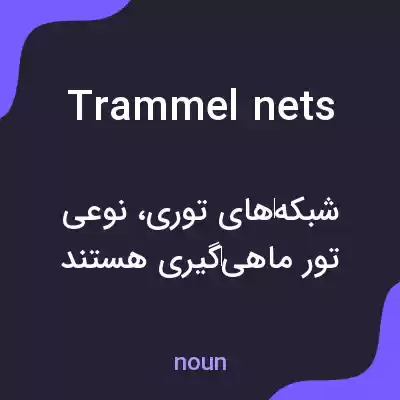 معنی trammel nets به فارسی معنی trammel nets به فارسی