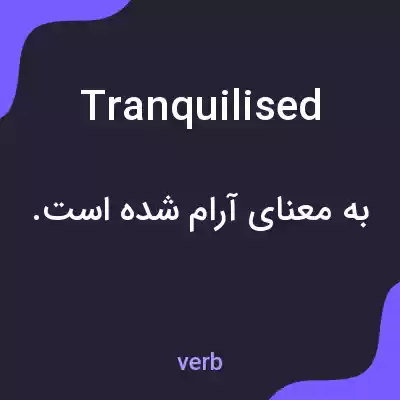 معنی tranquilised به فارسی معنی tranquilised به فارسی