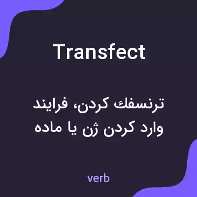 معنی transfect به فارسی معنی transfect به فارسی